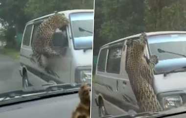 Leopard Attack: வேலியை தாண்டி பாய்ந்து காரில் மோதி பதறவைத்த சிறுத்தை.. ஆடிப்போன ஆம்னி வேன் ஓட்டுநர்.. வைரல் வீடியோ.!