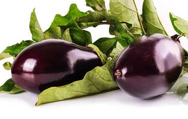 Benefits Of Brinjal: அடடே. கத்தரிகாயில் இருக்கும் அசத்தல் நன்மைகள் இவ்வுளவா?.. இன்றே தெரிந்துகொள்ளுங்கள்.!