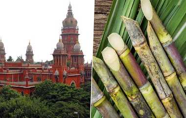 Pongal Sugarcane: "ரேஷன் கடைகளில் கரும்பு வழங்க உத்தரவிடுக" - கடலூர் விவசாயி சென்னை உயர்நீதிமன்றத்தில் மனுதாக்கல்.!