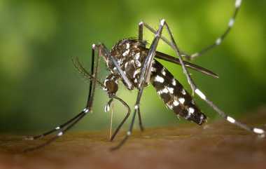 Dengue Fever: பருவமழை முன்னெச்சரிக்கை நடவடிக்கை தீவிரம்: டெங்கு காய்ச்சல்‌ கட்டுப்பாட்டு நடவடிக்கைகள்‌ அதிகரிப்பு.!