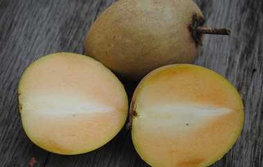 Benefits Of Sapodilla: கண்கள், எலும்புகள் ஆரோக்கியம் பெற, பதற்றம் குறைய இன்றே சுவையான சப்போட்டா சாப்பிடுங்கள்..!