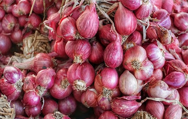 Onion Price Hike: இனி வெங்காயம் இல்லாமல் சமைக்க வேண்டியது தான்.. வரத்து குறைவால் வெங்காயம் விலை உயர்வு..!