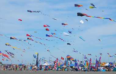 Kite Festival Death: பச்சிளம் குழந்தைகள் முதல் இளைஞர்கள் வரை.. குஜராத் பட்டம் விடும் திருவிழாவில் 6 பேர் கழுத்து அறுபட்டு துள்ளத்துடிக்க பலி.. நெஞ்சை பதறவைக்கும் சோகம்.!