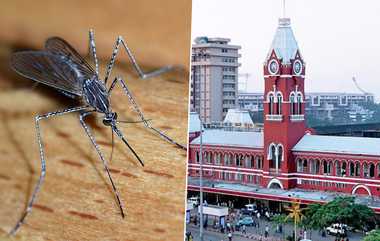 Chennai Peoples Affect Mosquitos: 6 மணிக்கு வீட்டின் கதவுகளை சாற்றும் சென்னை வாசிகள்.. ரீங்காரமிடும் கொசுக்களின் வளர்ச்சியால் மக்கள் வேதனை.!