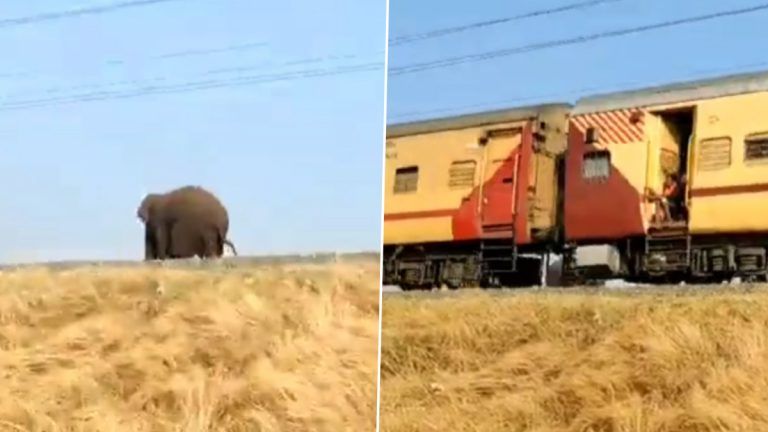 Elephant Life Saved: வனத்துறைக்கு ராயல் சல்யூட்.. இரயிலில் மோதவிருந்த யானையை நொடியில் காப்பாற்றிய அதிகாரிகள்.. பதைபதைப்பு வீடியோ வைரல்.!