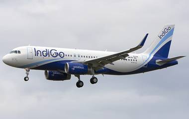 IndiGO Complaint: மதுபோதையில் விமான பணியாளர்களுடன் தகராறு; 2 பயணிகள் மீது வழக்குப்பதிவு.. மும்பை விமான நிலையத்தில் பரபரப்பு.!