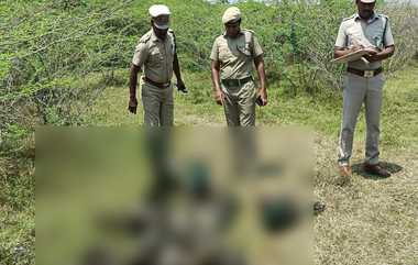 Peacocks Death Mystery: மர்மமான முறையில் காட்டுப்புறத்தில் மயில்கள் உயிரிழப்பு.. மதுரை அருகே அதிர்ச்சி சம்பவம்.!!