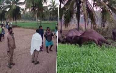 Marandahalli Elephant Died: சட்டவிரோத மின்வேலியால் கொடூரம்.. கோடைக்கு புலம்பெயர்ந்த யானைகள் மின்சாரத்தில் சிக்கி பரிதாப பலி.!