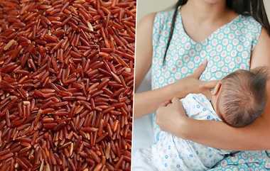 Red Rice Benefits: சிவப்பு அரிசியில் இவ்வுளவு நன்மைகளா?.. ஆண்களுக்கும், பெண்களுக்கும் அற்புதமான மருந்து.!