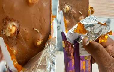 Dairy Milk Chocolate Worms: காதலர்களின் பிரத்தியேக சாக்லேட்டில் நெளிந்த புழுக்கள்.. காலாவதியாகாத டைரி மில்க் சாக்லேட்டில் சம்பவம்.!