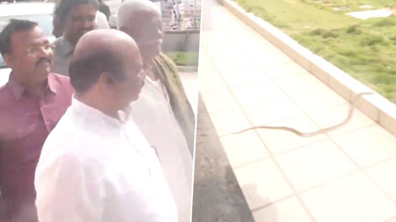 BJP Office Snake: பாஜக தலைமை அலுவலகத்தில் புகுந்த பாம்பு‌‌.. ரிசல்டுக்காக காத்திருந்த பாஜக தொண்டரகளை பதறவைத்த சம்பவம்‌..!