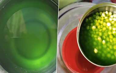 Green Chemical Peas: அச்சச்சோ.. என்னது இது?.. பச்சை நிற பட்டாணியில் பச்சையாக வெளியேறும் ரசாயனம்.. சாயம் பூசி விற்கும் கொடுமை.!