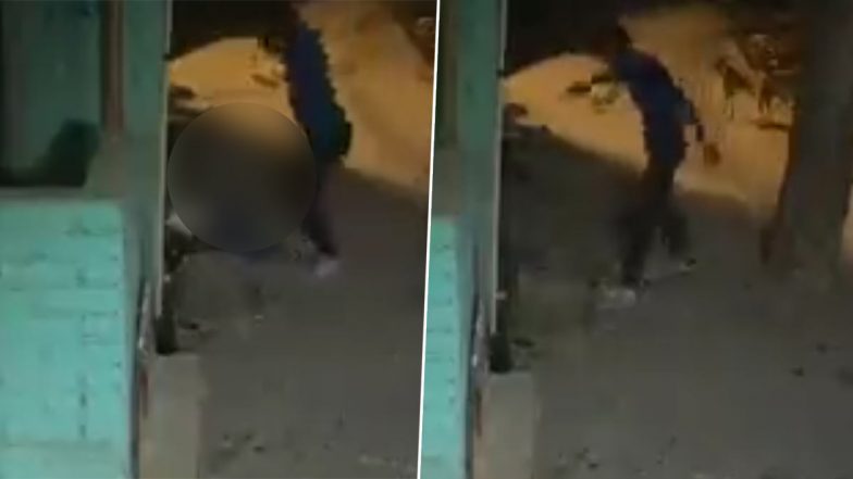 Delhi Shocking Murder: 16 வயது காதலி 20 முறை கத்தியால் குத்தி, சிமெண்ட் கல்லால் தாக்கி கொடூர கொலை; நெஞ்சை உலுக்கும் சம்பவம்.. அதிர்ச்சியூட்டும் சி.சி.டி.வி காட்சிகள்.!