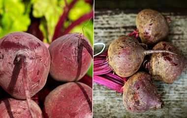 Beetroot Benefits & Dangerous: பீட்ரூட் சாப்பிடுவதால் கிடைக்கும் நன்மைகள் இதோ.. தப்பி தவறியும் இந்த பிரச்சனை இருப்பவர்கள் சாப்பிடாதீங்க.!