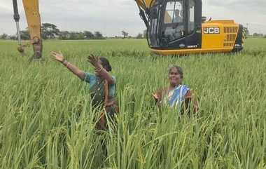 Agriculture Tips: பயிர்கள் வளர்ச்சிக்கான சூப்பர் டிப்ஸ்.. யூரியாவிற்கு பதில் தயிர் கலவை.. விபரம் உள்ளே.!