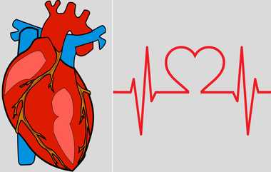 Heart Safety: இதயத்தை நாம் பாதுகாக்க வேண்டியதன் அவசியம் என்ன?.. ஒரேயொரு உறுப்பு உடலையே தாங்கும் அற்புதம்.!