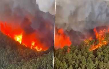 Spain Forest Fire: ஸ்பெயினின் கேனரி தீவுகளில் பரவத்தொடங்கியது காட்டுத்தீ; மக்கள் அவசர கதியில் வெளியேற்றம்..!