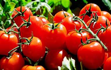 Uttarakhand Tomato Price: தொடர் உச்சத்தில் தக்காளியின் விலை; 80% குறைந்த வரத்தால் உச்சகட்ட தவிப்பில் உத்திரகாண்ட் மக்கள்.!