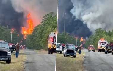 US Forest Fire Video: நெஞ்சை பதறவைக்கும் காட்டுத்தீ.. உயிரை கையில்பிடித்து அவசர அவசரமாக வெளியேறும் மக்கள்.. விபரம் உள்ளே.!