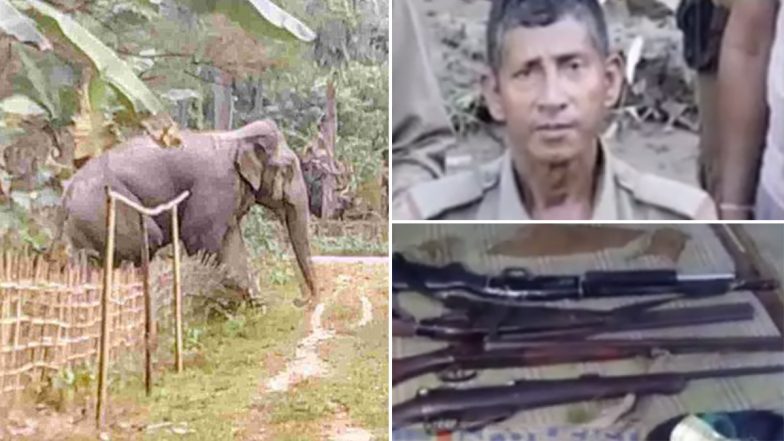 Assam Elephant Attack: காட்டுயானை விரட்டி தாக்கியதில் சோகம்: வனத்துறை அதிகாரி பரிதாப பலி., 3 பேர் காயம்.!