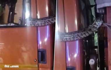 Python on Truck: ஓட்டுநர் கேபினில் தலைகீழாக திடீரென நுழைந்த மலைப்பாம்பு; வாகனத்தை நடுவழியில் நிறுத்தி கதறிய ஓட்டுநர்.!