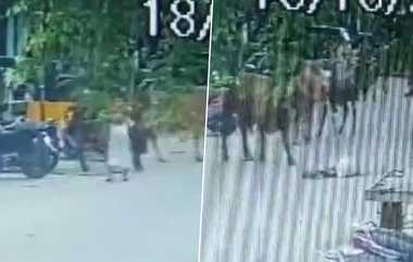 Cow Attacked Oldman: 80 வயது முதியவரை திடீரென ஆவேசமாகி தாக்கிய பசு; உரிமையாளரை தட்டித்தூக்கிய காவல்துறை.!