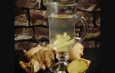 Ginger Tea Caution: மழைக்காலத்தில் சளி, இருமலுக்கு எதுவாக இஞ்சி தேநீர்; அதிகமாக குடிப்போருக்கு எச்சரிக்கை.. விபரம் இதோ.!