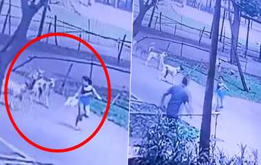 Thane Dog Attack: குழந்தையை கொடூரமாக தாக்கிய நாய்கள்; பூங்காவுக்குள் நடந்த பயங்கரம்.. பதைபதைப்பு காட்சிகள் வைரல்.!