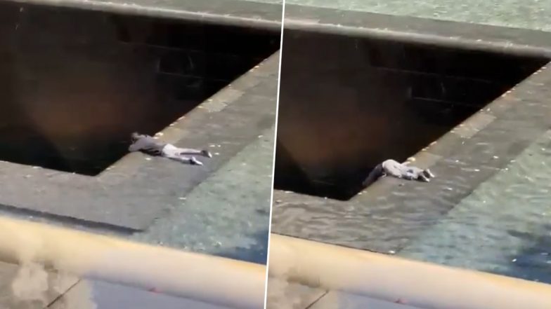 Shocking Video: 9/11 தாக்குதல் நினைவிடத்தில் இளைஞர் செய்த சர்ச்சை காரியம்: அதிர்ந்துபோன பார்வையாளர்கள்.!