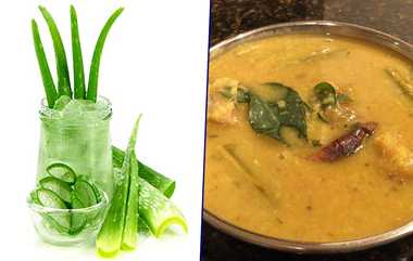 Aloe Vera Curry: சோற்றுக்கற்றாழையில் சுவையான குழம்பு செய்வது எப்படி?.. அசத்தல் டிப்ஸ் தெரிஞ்சிக்கோங்க.!