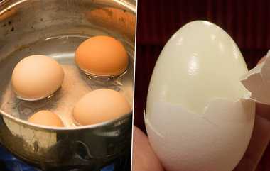 Egg Benefits: அடடே.. ஆயில் அதிரடி தகவல்.. முட்டையின் வெள்ளைக்கருவை சாப்பிடுவதால் இவ்வுளவு நன்மைகள்.!