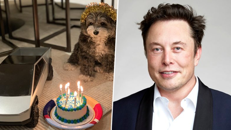 Elon Musk Celebrates Dog Birthday: எலான் மிஸ்கின் செல்லப்பிராணிக்கு இன்று குவா., குவா டே.. கேக் வெட்டி கொண்டாட்டம்.!