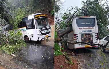 Mettupalaiyam Coonoor Road Landslide: ஒரேநாளில் கொட்டித்தீர்த்த பேய்மாழை: குன்னூர் - மேட்டுப்பாளையம் சாலையில் நிலச்சரிவு.. நடுவழியில் வாகனங்கள் நிறுத்தம்.!