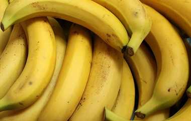 Banana Price Hike: வெயிலால் கருகும் வாழை தோப்புகள்.. எகிரும் வாழை இலை மற்றும் பழங்களின் விலை..!