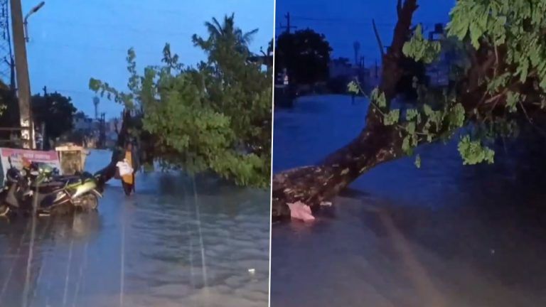 Cyclone Michaung Chennai Rains: வீதிகளில் கரைபுரண்டு ஓடும் மழைநீர்: சாலையில் மரம் சாய்ந்து விழுந்து விபத்து.. தவிர்க்கப்பட்ட அசம்பாவிதம்.!