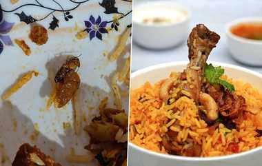 Cockroach in Biryani: ஆசையாக சாப்பிட்ட பிரியாணியில் கிடந்த கரப்பான் பூச்சி.. பதறிப்போன உணவுப்பிரியர்.. வைரல் விபரம் இதோ.!