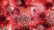 HMPV Virus in India: இந்தியாவில் ஹச்எம்பிவி வைரஸ்; 8 மாத குழந்தைக்கு பாதிப்பு..!