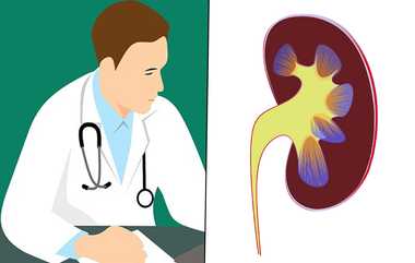 Kidney Stone: சிறுநீரக கற்கள் பிரச்சனை உடையோர் தவிர்க்க வேண்டிய உணவுகள் எவை?.. தவிர்ப்பது எப்படி?.. டிப்ஸ் இதோ.!