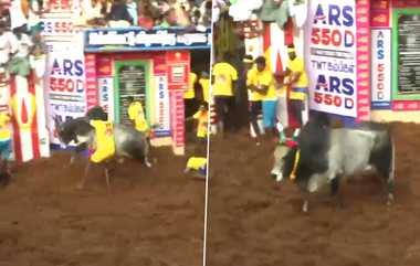 Alanganallur Jallikattu: அலங்காநல்லூர் ஜல்லிக்கட்டு ஆரம்பம்... பாய்ந்த மாடுபிடி வீரர்களை சுத்தவிடும் காளைகள்.. 22 பேர் காயம்..!