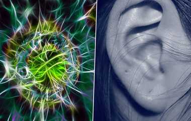 Beauty Parlour Owner Damaged Customer Ear: காதின் ஓட்டையை அடைக்க சென்ற பெண்... காதை அழுக வைத்த அனுப்பிய பார்லர் உரிமையாளர்..!