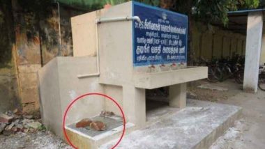 Dead Dog In School Drinking Water Tank: பள்ளி குடிநீர் தொட்டியில் அழுகிய நாய் சடலம்.. மாணவர்கள் அதிர்ச்சி..!