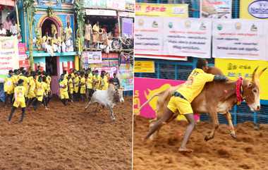 Palamedu Jallikattu: களைகட்டிய பாலமேடு ஜல்லிக்கட்டு.. வெற்றியாளர்கள் யார்? பரிசு என்ன? எத்தனை பேர் காயம்? முழு தகவல் இதோ.!