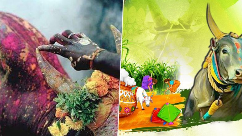 Pongal Celebration: இன்று தை 2ம் நாள்: மாட்டுப்பொங்கல் வைக்க நல்ல நேரம் என்ன?.. விபரம் இதோ.!