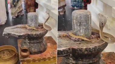 Ram Temple Snake Video: ராமர் கோவிலில் உள்ள சிவலிங்கத்தில் நல்ல பாம்பு; பயபக்தியுடன் வழிபட்ட மக்கள்.!