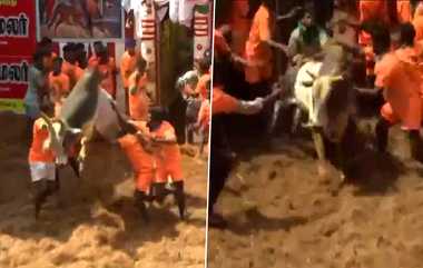 Alanganallur Jallikattu: அலங்காநல்லூர் ஜல்லிக்கட்டு நிறைவு.. வெற்றியாளர்கள் யார்? பரிசு என்ன? எத்தனை பேர் காயம்? முழு தகவல் இதோ.!