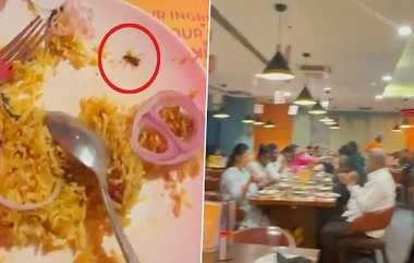 Dead Cockroach In Biryani: கரப்பான் பூச்சி பிரியாணி பரிமாறிய பிரபல உணவகம்.. இது என்ன புது ரெசிபியா..!