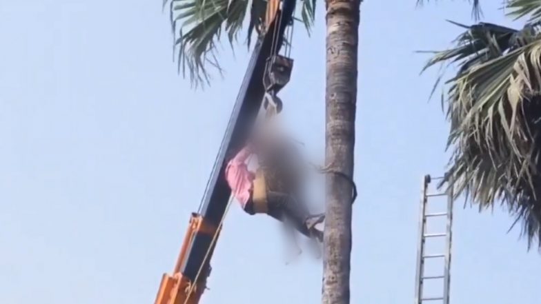 Heart Attack on Palm Tree Video: பனைமரம் ஏறிய நபருக்கு நெஞ்சுவலி... அவரின் உடலை மீட்கும் பரிதாப வீடியோ..!
