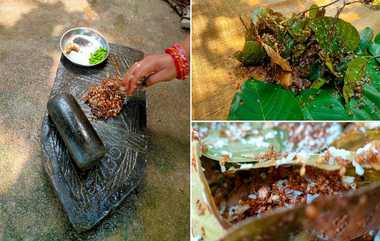 Odisha's Red Ant Chutney: எறும்பு சட்னிக்கு புவிசார் குறியீடு.. மத்திய அரசு அதிரடி..!