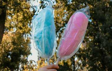 TN Govt Band Cotton Candy: புற்றுநோயை உண்டாக்கும் பஞ்சுமிட்டாய்க்கு தமிழகத்தில் தடை - அரசு அதிகாரப்பூர்வ அறிவிப்பு..!