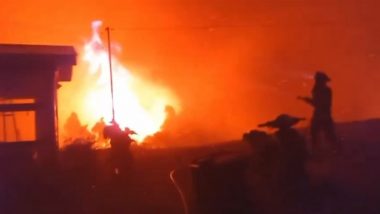 Chile Forest Fire: கட்டுக்கடங்காமல் பரவும் சிலி காட்டுத்தீ; 112 பேர் பரிதாப பலி., திணறும் அதிகாரிகள்.!